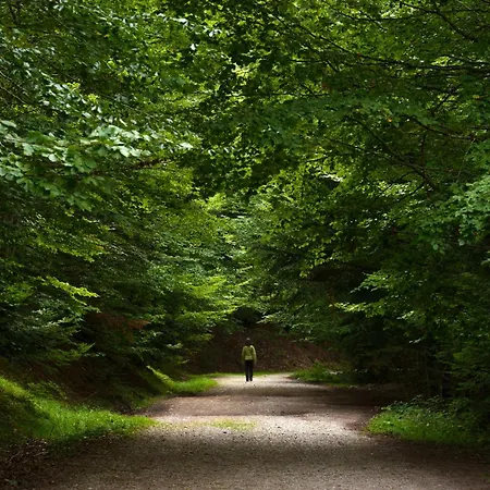 Apartment Tenaesqui I By Bevalle