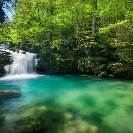 Tenaesqui I By Bevalle *