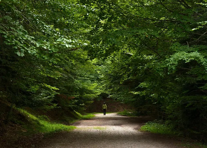 Apartment Tenaesqui I By Bevalle